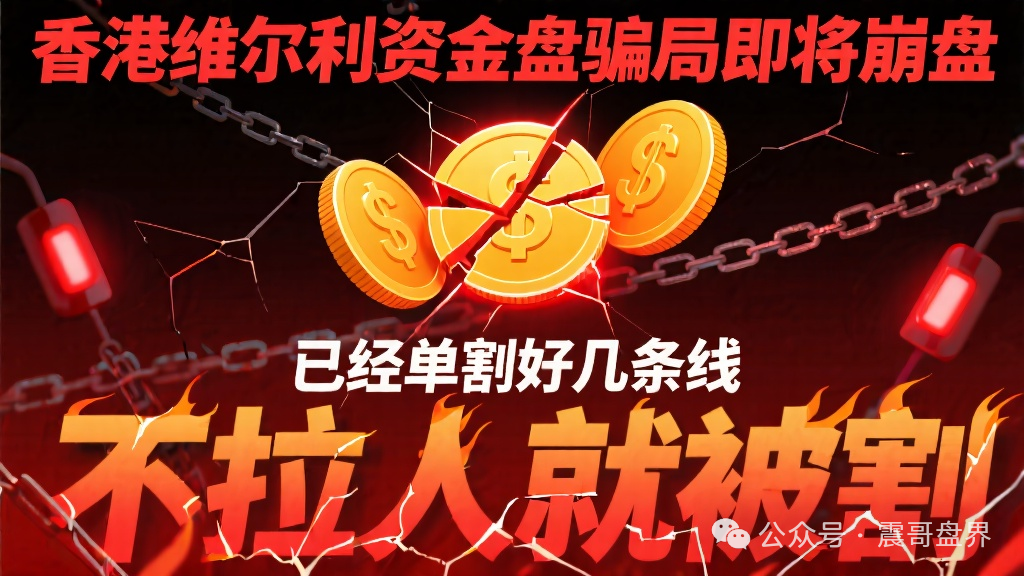 香港维尔利资金盘骗局即将崩盘，已经单割好几条线，不拉人就被割